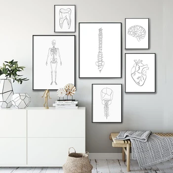 Anatomia Scheletului O Linie Postere si Printuri Anatomice Inima Desen Ilustrare Panza Imaginile pentru Cadou Clinica Decor de Perete